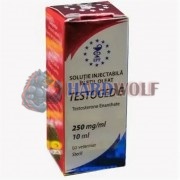 Testoged-E 250mg (Тестогед), Golden Dragon