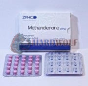 Methandienone 20mg (Метандиенон), ZPHC