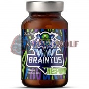Braintus [Brain] (90 капс), OstroVit