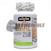 DMAE [Диметиламиноэтанол] (100 капс), Maxler