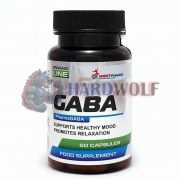 GABA [ГАБА] (200 мг x 60 капс), Westpharm