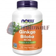 Ginkgo [Гинкго Билоба] (60 мг x 240 капс), NOW Foods