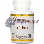 Lion's Mane [Львиная грива] (600 мг x 90 капс), Fungiology
