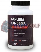 Garcinia Cambogia (500 мг x 90 капс), Protein Company