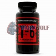 T-6 (60 капс), Zion Labs