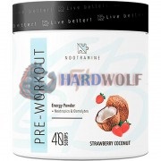 Nootramine Pre-Workout (290, 2 гр x 20 порций), Nootramine