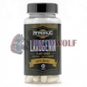 Laxogenin (60 шт), Anabolic Brew