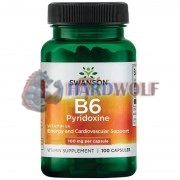 Vitamin B6 (100 шт по 100 мг), Swanson