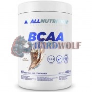 BCAA Instant (400 гр), AllNutrition