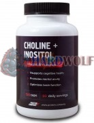 Choline + Inositol (120 шт), Protein Company
