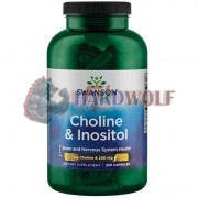 Choline & Inositol (250 шт), Swanson